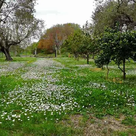 Green House Corfu - A Perfect Place To Unwind * Roda (Corfu)