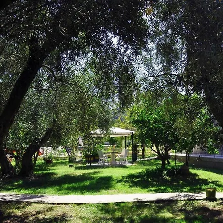 Green House Corfu - A Perfect Place To Unwind