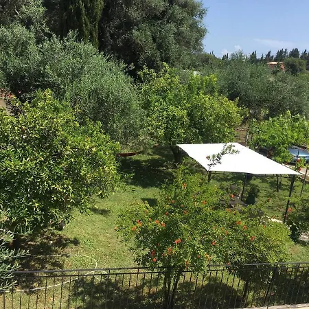 Green House Corfu - A Perfect Place To Unwind *