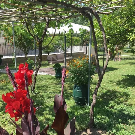 Green House Corfu - A Perfect Place To Unwind Appartement *